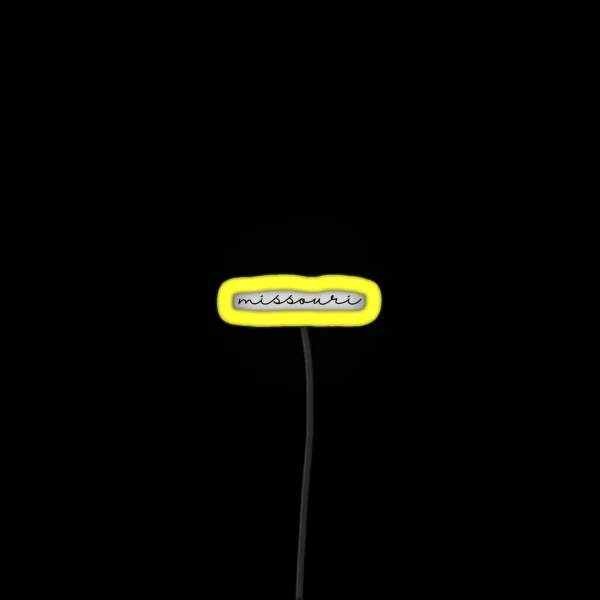 Delicate Missouri Font RGB Neon Sign