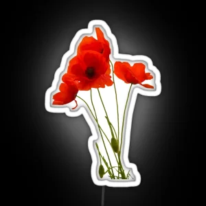 Delicate Red Poppies Floral Bouquet RGB Neon Sign