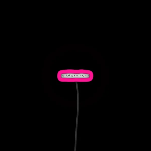 Delicate Wisconsin Font RGB Neon Sign