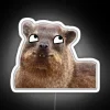 Vibrant Derpy Dassie Face RGB Neon Sign Home Decor Accents