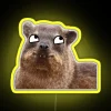 Vibrant derpy dassie LED sign with colorful RBG neon lighting accents.