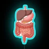RGB Neon Sign for Medical Professionals and Anatomy Enthusiasts Illustrations