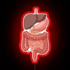 Colorful neon illustration of human digestive system organs at night.