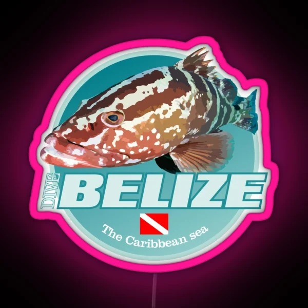 Dive Belize DD2 RGB Neon Sign