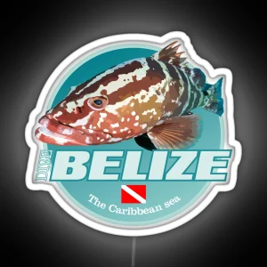 Dive Belize DD2 RGB Neon Sign