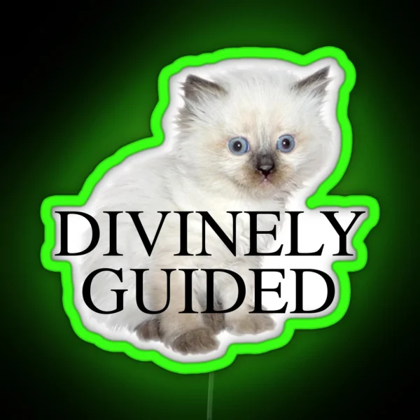 DIVINELY GUIDED KITTEN RGB Neon Sign