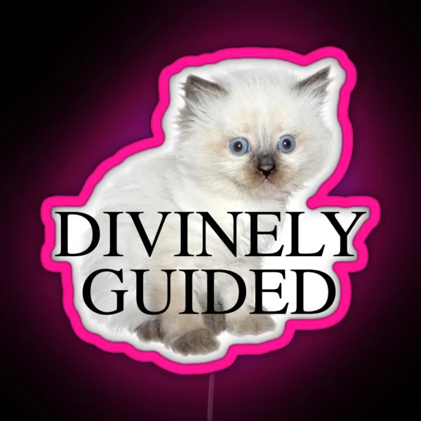 DIVINELY GUIDED KITTEN RGB Neon Sign