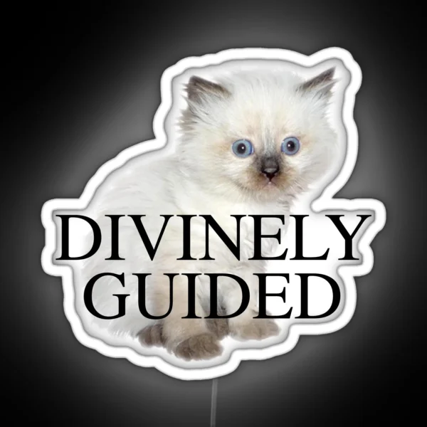 DIVINELY GUIDED KITTEN RGB Neon Sign
