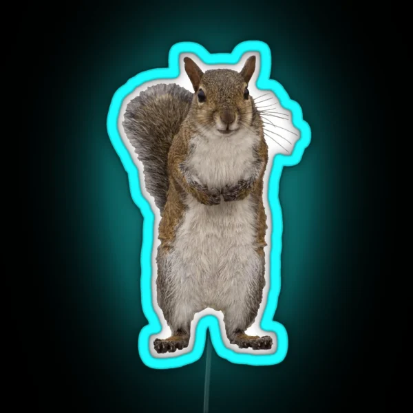 Do You Have Some Nuts RGB Neon Sign