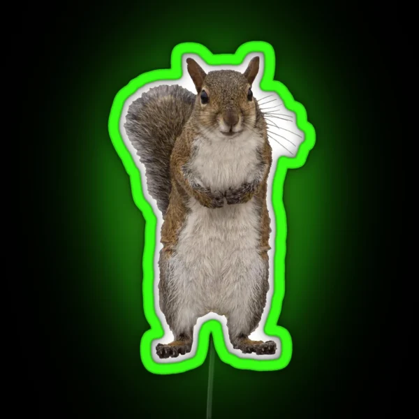 Do You Have Some Nuts RGB Neon Sign