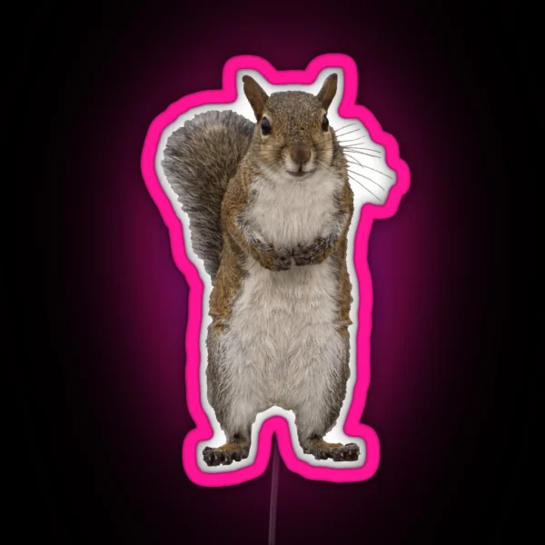 Do You Have Some Nuts RGB Neon Sign
