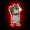 Do You Have Some Nuts? Quirky Humor Wall Decor Statement