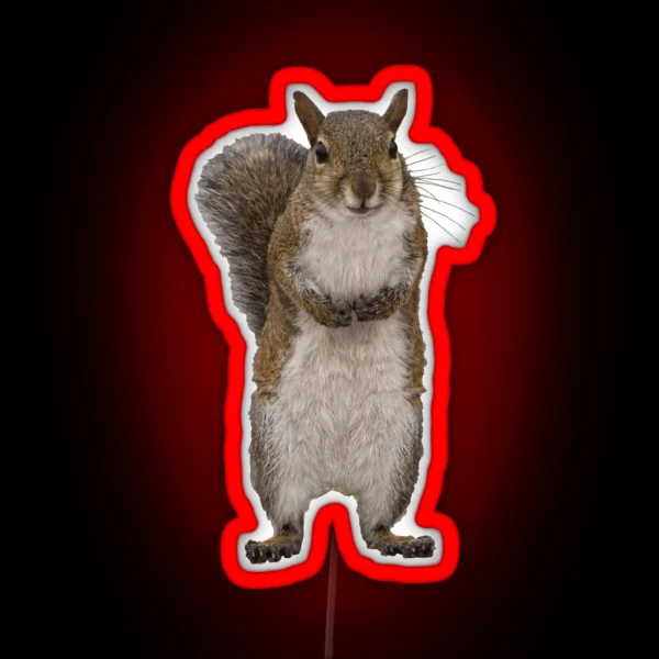 Do You Have Some Nuts RGB Neon Sign