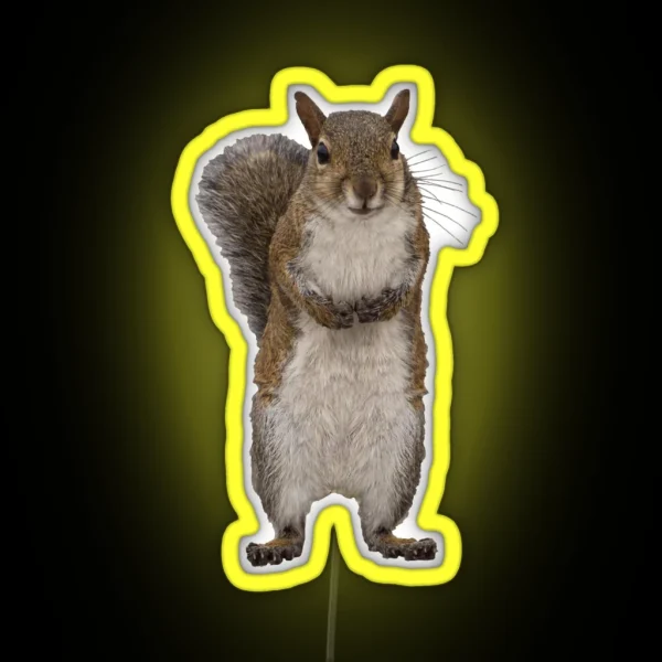 Do You Have Some Nuts RGB Neon Sign