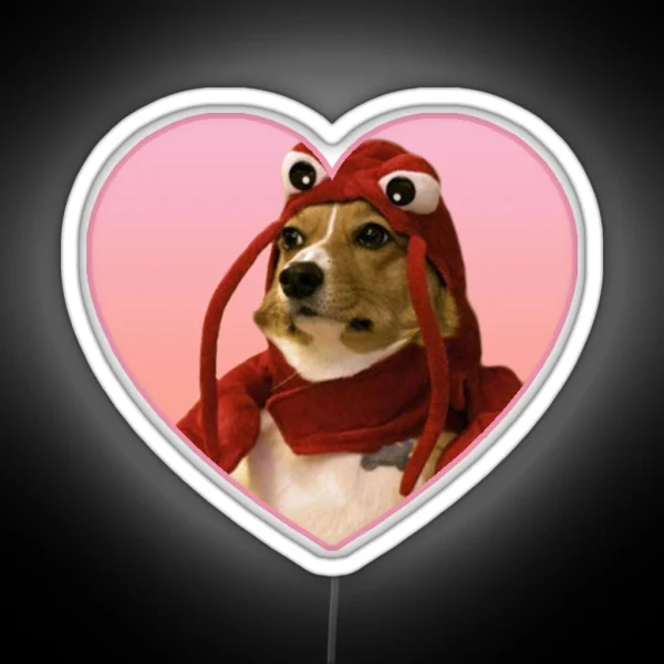 Doggo Led Lobster Corgi Pink RGB Neon Sign