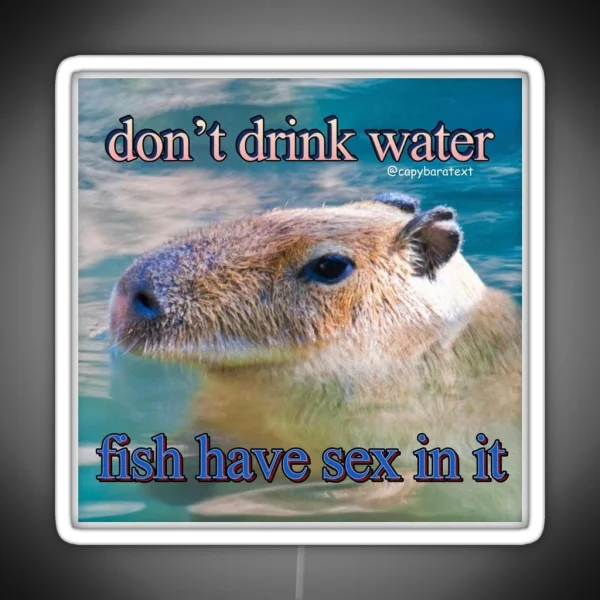 Don T Drink Water Capybara Meme RGB Neon Sign