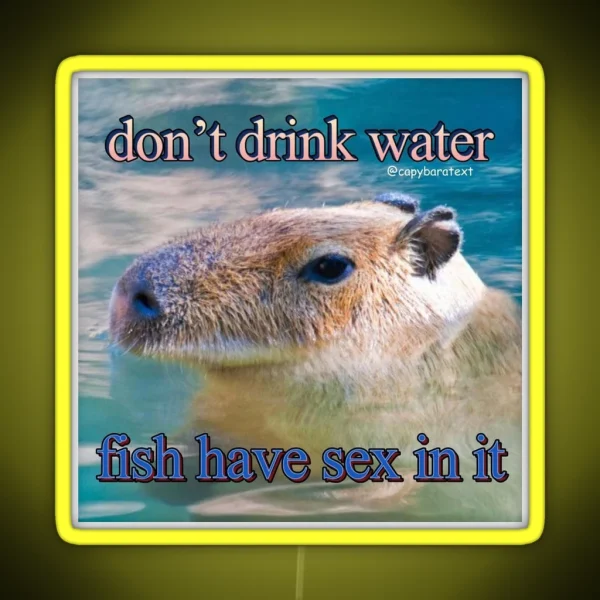 Don T Drink Water Capybara Meme RGB Neon Sign