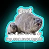 Eye-catching RGB Neon Sign with Rock Hyrax Meme Humor Typography