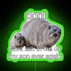 Vibrant RGB Neon Sign with Rock Hyrax Meme Design Statement Piece.