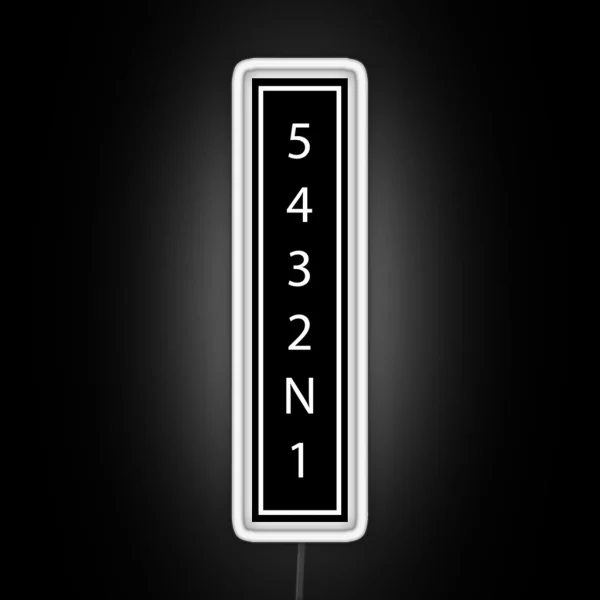 Downshift2 RGB Neon Sign