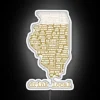 Illinois Beer Enthusiast Apparel with Colorful Neon Sign Design