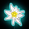 Edelweiss Blooming Beauty in Vibrant RGB Colorful Neon Sign Decoration