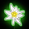 Edelweiss Flower Design Radiant Bright Neon Sign Home Decor Accent Piece