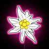 Colorful Edelweiss flower neon sign with vibrant RGB LED display