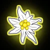 Colorful Edelweiss flower RGB neon lighted wall decoration and sign
