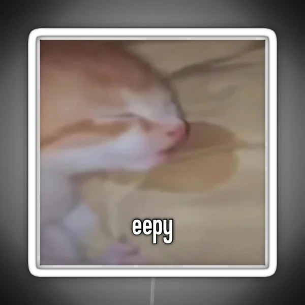 Eepy Cat RGB Neon Sign