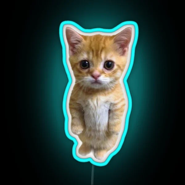 El Gato Kitten Tiktok Meme RGB Neon Sign