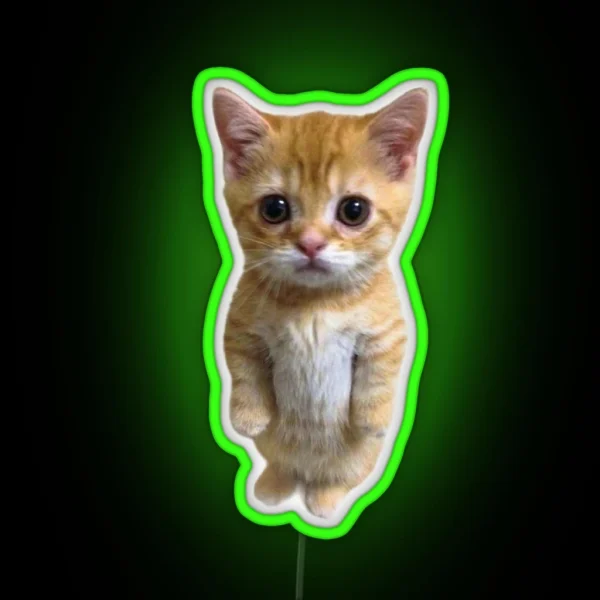 El Gato Kitten Tiktok Meme RGB Neon Sign