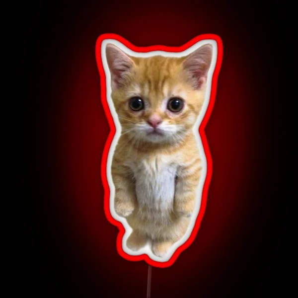 El Gato Kitten Tiktok Meme RGB Neon Sign