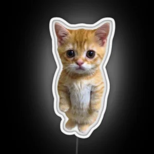 El Gato Kitten Tiktok Meme RGB Neon Sign