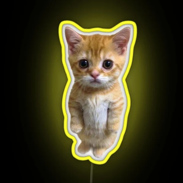 El Gato Kitten Tiktok Meme RGB Neon Sign