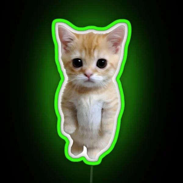 El Gato RGB Neon Sign