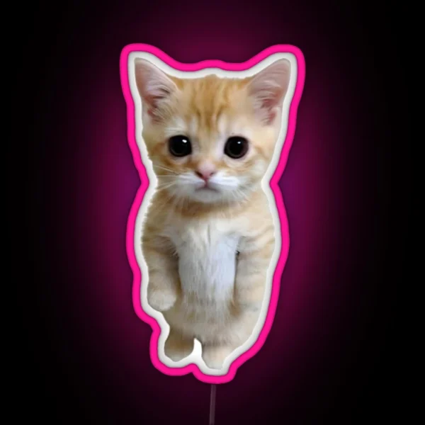 El Gato RGB Neon Sign