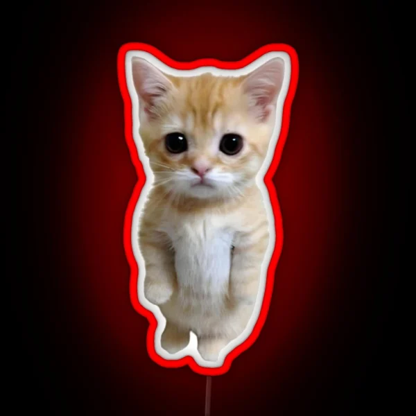 El Gato RGB Neon Sign