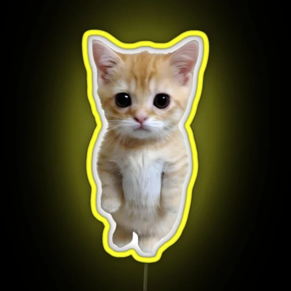 El Gato RGB Neon Sign