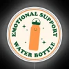 Stay hydrated with style, emotional support water bottle led set.