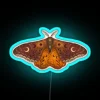 Glowing Emperor Moth wing silhouette in vibrant colorful RGB neon