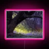 Radiant Enchanted Evening Ambiance with Vibrant Color-Changing Neon Accents.