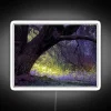 Add ambient color with customizable Enchanting Moment RGB neon signage.