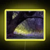 RGB LED lighted canvas art display for enchanting romantic moments