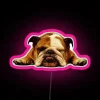 English Bulldog Lazy Beast Color-Changing LED Neon Sign Wall Decoration Artwork