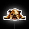 English Bulldog Lazy Beast Neon Sign in Vibrant Colorful RGB