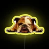 English Bulldog Lazy Beast LED Sign with Colorful Neon Accents