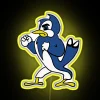 LED sports team logo display with customizable colored lighting options