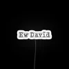 Eye-catching David Bowie-inspired RGB neon sign with edgy rock vibes.