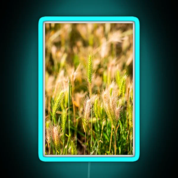 False Barley Nature Photo RGB Neon Sign